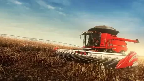 plataforma-milho-ih